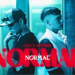 Normal  RMX - C.r.o & Dani ribba (ft.Duki, Standly, Jordan 23 & pailita)