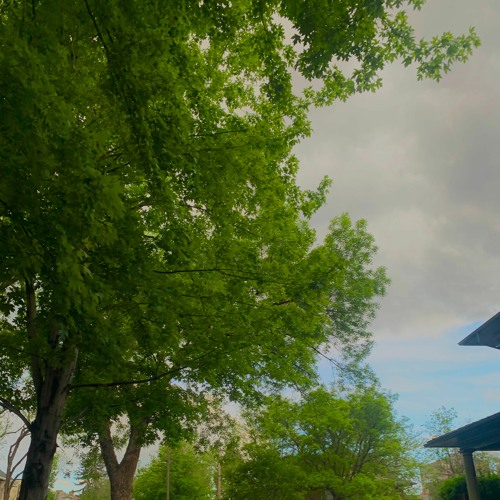 Stream why does green feel like grey by dillum Listen online for free