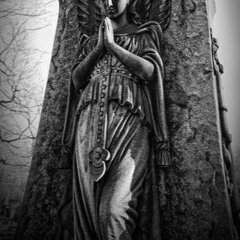 unity - SOUNDS OF ROGYNEUM