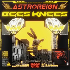 ASTROREIGN - BEES KNEES [Free Download]