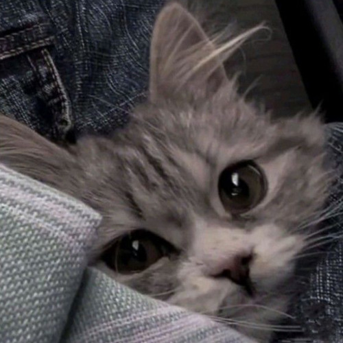 DJ WORTH IT THAILAND BY SISAKET RADIO GIGISSKK