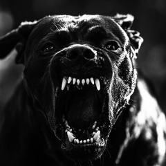 Fight Club Produced By norm4n