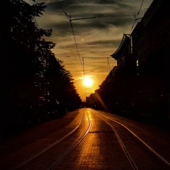 #6 | Sting to Stung | by Axel Wilbertz