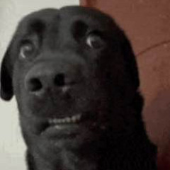 close relatives - morozniy ded prod.by sorrovw