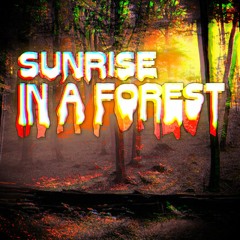 Sunrise in a Forest