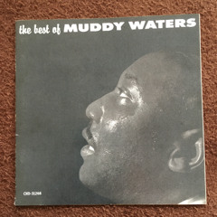 I Can't Be Satisfied (Muddy Waters cover)