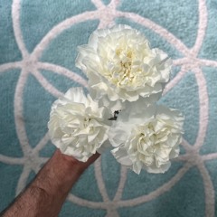 Mato Ruells - Home Alone Vol.3