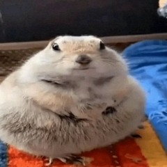 ROBLOX LOUD BYPASSED GET YOU BY DANIEL CAESAR AUDIO ULTRA MEGA RARE SUPER RARE LOUD