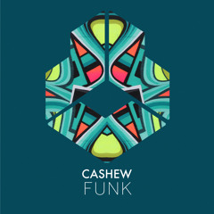 Funk (Extended Mix)