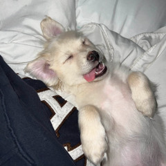 sleepyhead
