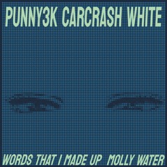 punny3k & Carcrash White - Molly Water