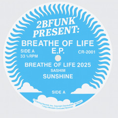 1 2B Funk Pres. Breathe of Life - Dj Aladin Rmx