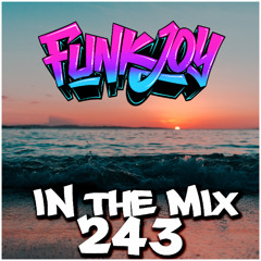 funkjoy - In The Mix 243