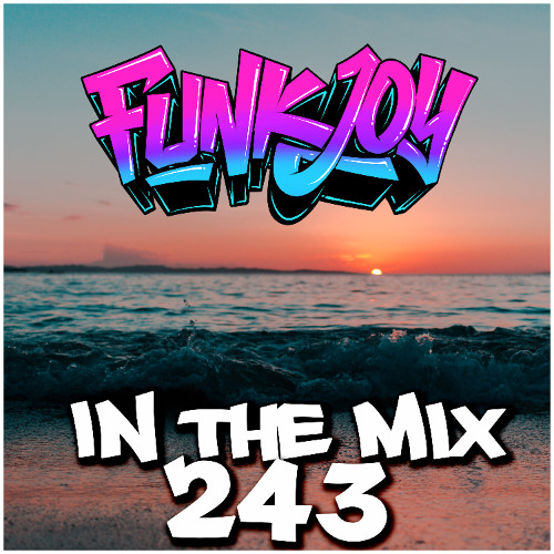 funkjoy - In The Mix 243