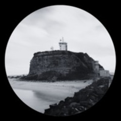 WILL CARRIGAN. - Steel City