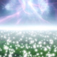 eternal garden (+veilonme)