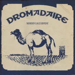 nobodylikesbirdie, medams - Dromadaire (Dictat III)