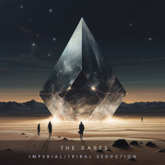 ILLR026: The Rares - Tribal Seduction (Original Mix)