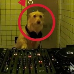 Spirit (Clip)