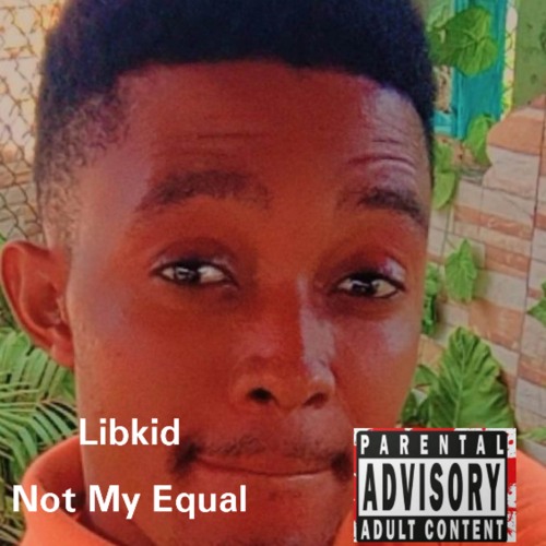 Stream Not My Equal by Libkid Listen online for free on SoundCloud