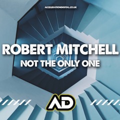 Not The Only One (DjRobert-M Remix)