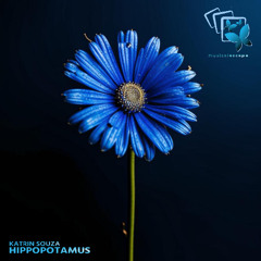 Katrin Souza - Hippopatamus [musicalescape]