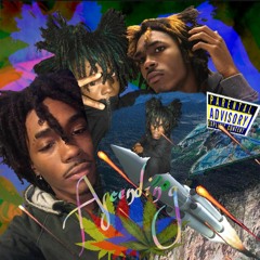 DOPE AND CASH (UP ARROWS)