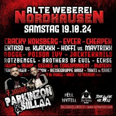 APOSTEL @ 7 JAHRE PARKINZON & SIILLAA / ALTE WEBEREI NORDHAUSEN