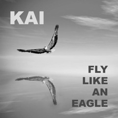The Dualz v Steve Miller Band - Fly Like An Eagle (Kai's Mashup)