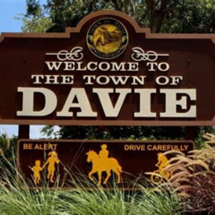 Best Fun Things To Do In Davie Florida Tours Review