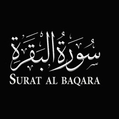 سورة البقرة ـ٢٣ـ أحمد حمادي