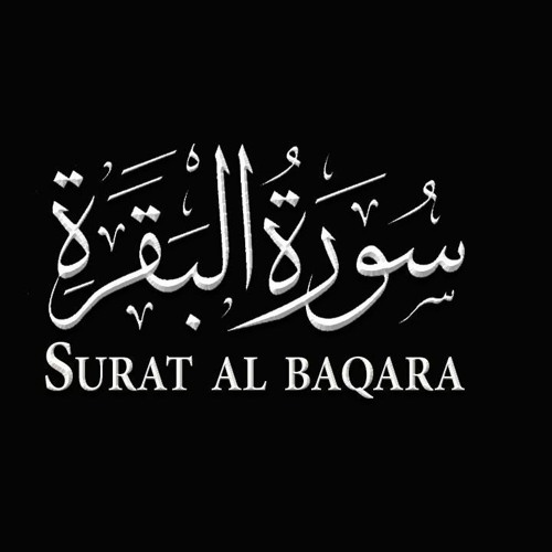 سورة البقرة ـ٢٥ـ أحمد حمادي