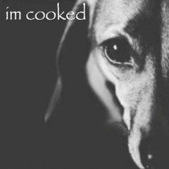 why is it so brick out