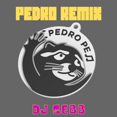 DJ SEBB - ( PEDRO REMIX )* Filter due to Copyrights click on download link in description