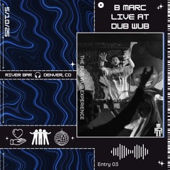 The Dub Wub Experience - Entry 03