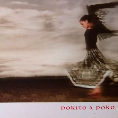 POKITO A POKO - CHAMBAO (ACERO GROOVE EDIT)