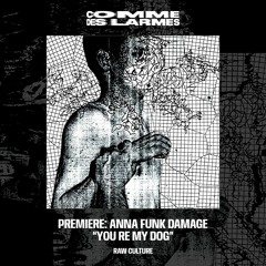 PREMIERE CDL || Anna Funk Damage - You Re My Dog [Raw Culture] (2023)