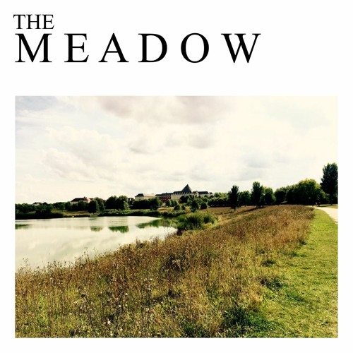The Meadow | Reflections