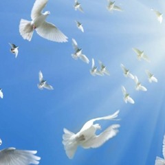 Лети, голубочку