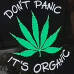 The Harvest cannabis store