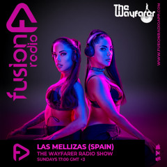 THE WAYFARER RADIOSHOW #119 - GUEST MIX LAS MELLIZAS [Exclusive Set For Beachgrooves & Fusion Radio]