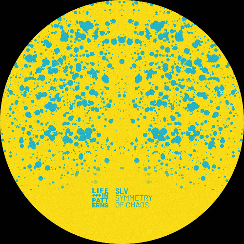 LIP013 | SLV - Symmetry of Chaos (snippets)