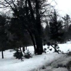 темный принц-#судныйдень