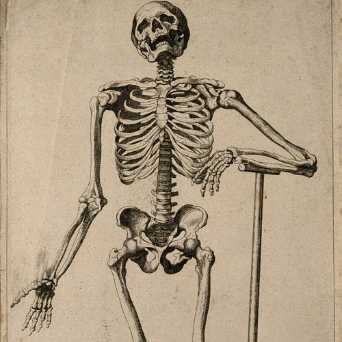 ANGVISH - Egomaniac ★