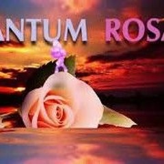 Don Poldon feat. Howdy - 🤦‍♂️TANTUM🌹ROSA
