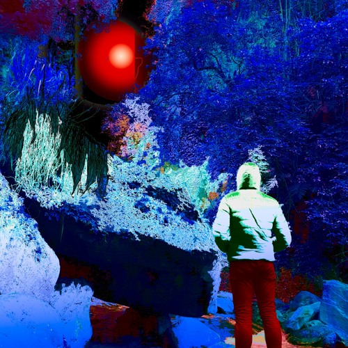 Forest Hymn