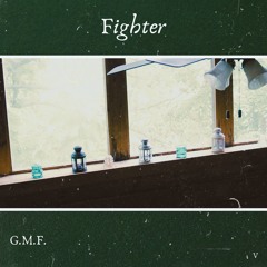 Fighter