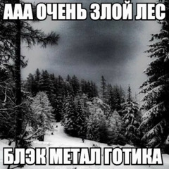таблы + tewiq