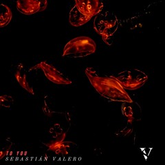 Sebastian Valero - To You
