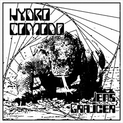 Jens Grajcer - 'Hydro Comodo'